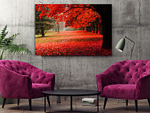 Obraz Čaro jesene 1588